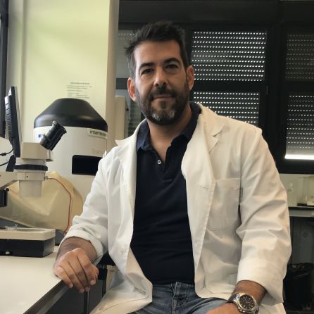 Eduardo Medina Pradas Eduardo Medina Pradas