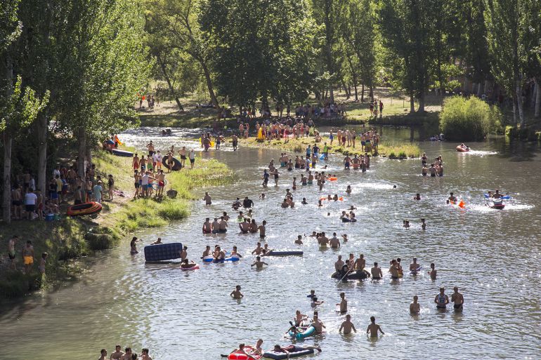 Vacas por el Tajo en 2017 Vacas por el Tajo en 2017
