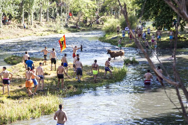 Las vacas por el Tajo de Trillo se suspenden hasta el 14 de julio por el elevado nivel de agua del rio: Las vacas por el Tajo de Trillo se aplazan por el elevado caudal del rio Las vacas por el Tajo de Trillo se suspenden hasta el 14 de julio por el elevado nivel de agua del rio: Las vacas por el Tajo de Trillo se aplazan por el elevado caudal del rio