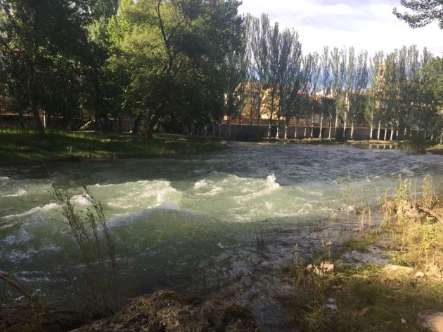Las vacas por el Tajo de Trillo se suspenden hasta el 14 de julio por el elevado nivel de agua del rio: Las vacas por el Tajo de Trillo se aplazan por el elevado caudal del rio Las vacas por el Tajo de Trillo se suspenden hasta el 14 de julio por el elevado nivel de agua del rio: Las vacas por el Tajo de Trillo se aplazan por el elevado caudal del rio
