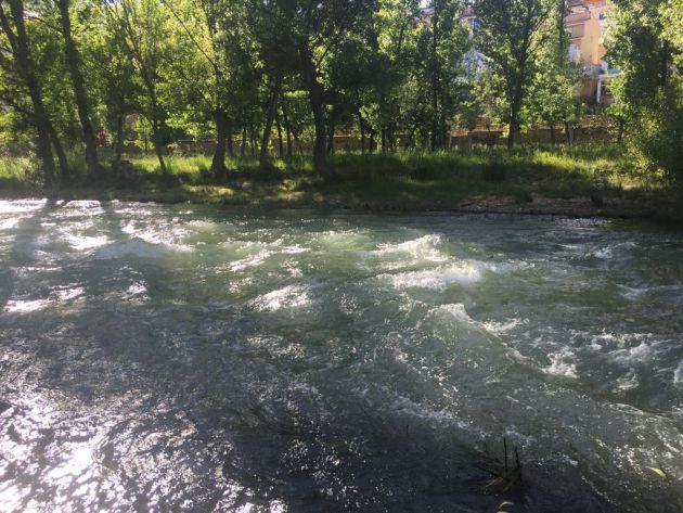 Las vacas por el Tajo de Trillo se suspenden hasta el 14 de julio por el elevado nivel de agua del rio: Las vacas por el Tajo de Trillo se aplazan por el elevado caudal del rio Las vacas por el Tajo de Trillo se suspenden hasta el 14 de julio por el elevado nivel de agua del rio: Las vacas por el Tajo de Trillo se aplazan por el elevado caudal del rio