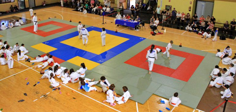El creciente número de participantes obligó a disponer de un tercer tatami para dar servicio a la gran demanda, en la última jornada de la Copa Diputación de Judo. El creciente número de participantes obligó a disponer de un tercer tatami para dar servicio a la gran demanda, en la última jornada de la Copa Diputación de Judo.