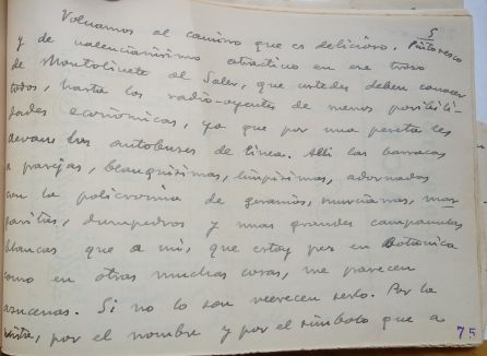 Guion escrito por Maximilano Thous en 1933 sobre La Albufera 4-6 Guion escrito por Maximilano Thous en 1933 sobre La Albufera 4-6