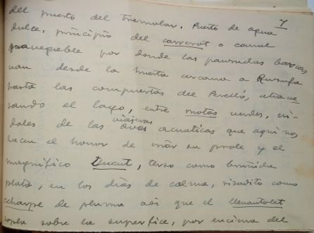 Guion escrito por Maximilano Thous en 1933 sobre La Albufera 6-6 Guion escrito por Maximilano Thous en 1933 sobre La Albufera 6-6