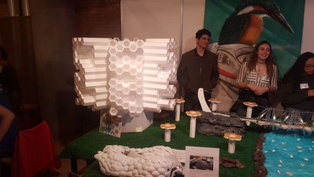 'Laboratorio Fractal y Biomímesis', el proyecto del IES Bécquer en la Feria de la Ciencia 2018. 'Laboratorio Fractal y Biomímesis', el proyecto del IES Bécquer en la Feria de la Ciencia 2018.