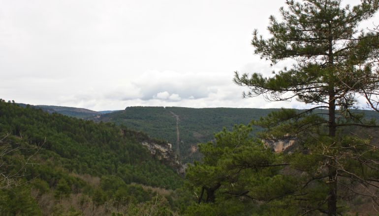 Vistas desde el mirador de la Hoz de Beteta. Vistas desde el mirador de la Hoz de Beteta.
