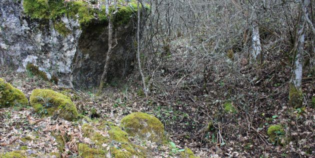 La hoz de Beteta es un espacio natural de gran humedad. La hoz de Beteta es un espacio natural de gran humedad.