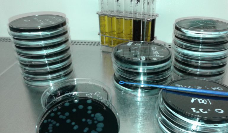 Pruebas para el análisis de agua. Pruebas para el análisis de agua.