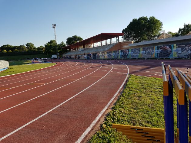 Atletismo. 300 atletas compiten en Guadalajara en el meeting internacional Puma de atletismo como homenaje a 30 años de la selección cubana en Guadalajara: Más de 300 atletas en el Meeting Internacional de Atletismo de Guadalajara Atletismo. 300 atletas compiten en Guadalajara en el meeting internacional Puma de atletismo como homenaje a 30 años de la selección cubana en Guadalajara: Más de 300 atletas en el Meeting Internacional de Atletismo de Guadalajara