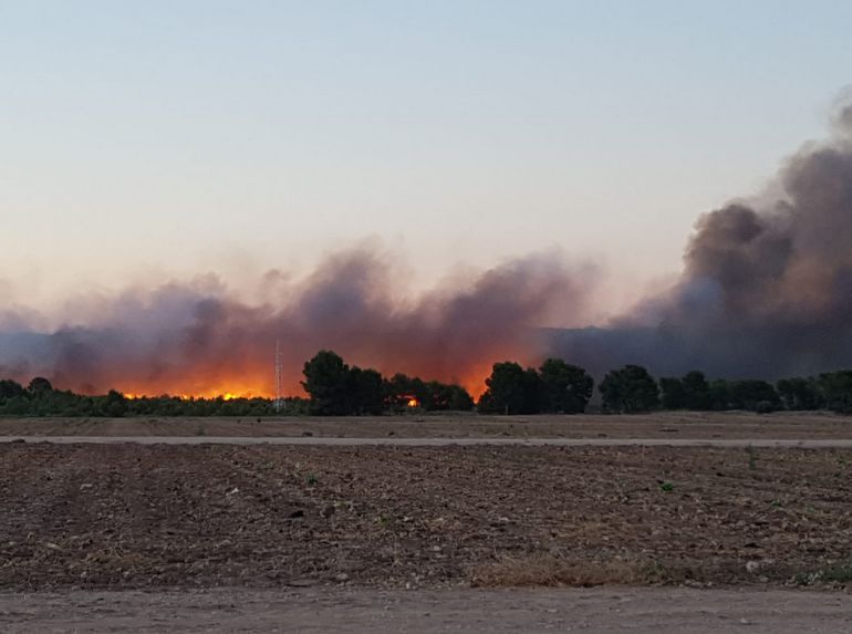 A las 6:37 de esta mañana se da por estabilizado el incendio forestal declarado la pasada noche en la zona de El Campillo en Moratalla A las 6:37 de esta mañana se da por estabilizado el incendio forestal declarado la pasada noche en la zona de El Campillo en Moratalla