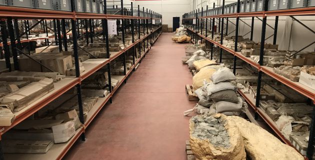 Almacén de fósiles de Lo Hueco. Almacén de fósiles de Lo Hueco.