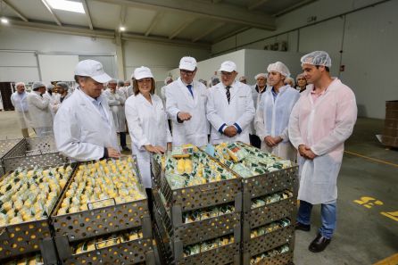 Huercasa invierte 12 millones y creará 80 empleos Huercasa invierte 12 millones y creará 80 empleos