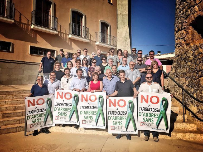 Los populares se reunen en Murla para tomar medidas frente a la Xylella. Los populares se reunen en Murla para tomar medidas frente a la Xylella.