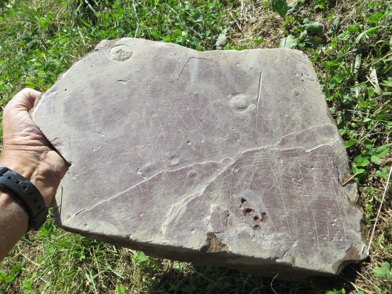 Hallazgo de un posible primer plano urbano vasco de la prehistoria en el poblado de Basagain, en Anoeta. Hallazgo de un posible primer plano urbano vasco de la prehistoria en el poblado de Basagain, en Anoeta.
