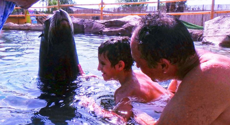 La aventura terapéutica de Rodrigo, un niño autista, y Tino, un león marino La aventura terapéutica de Rodrigo, un niño autista, y Tino, un león marino
