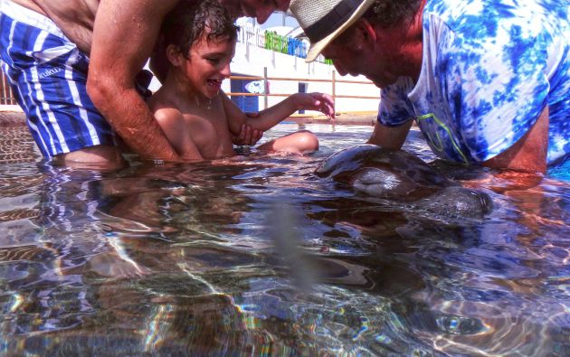 La aventura terapéutica de Rodrigo, un niño autista, y Tino, un león marino La aventura terapéutica de Rodrigo, un niño autista, y Tino, un león marino