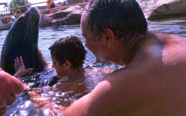 La aventura terapéutica de Rodrigo, un niño autista, y Tino, un león marino La aventura terapéutica de Rodrigo, un niño autista, y Tino, un león marino