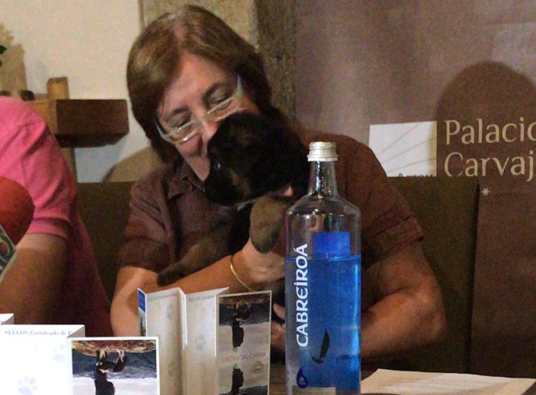 La presidenta de la Protectora de Animales, Salud Mateos, con uno de los últimos cachorros abandonados y la credencial canina La presidenta de la Protectora de Animales, Salud Mateos, con uno de los últimos cachorros abandonados y la credencial canina