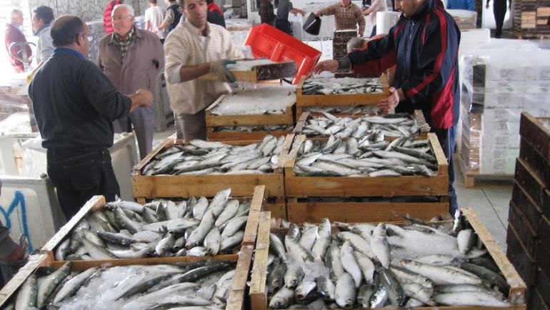 Cajas de pescado azul recién llegado a la lonja de Adra para su venta y expedición. Cajas de pescado azul recién llegado a la lonja de Adra para su venta y expedición.