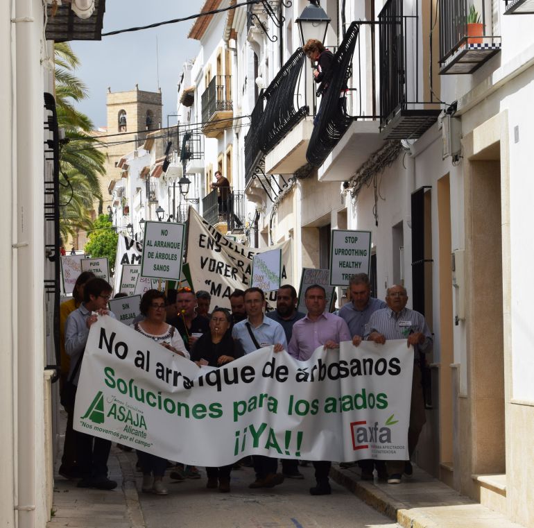 Manifestación de los afectados por la Xylella en Benissa. Manifestación de los afectados por la Xylella en Benissa.