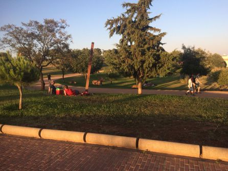 Parque de la Asomadilla al atardecer Parque de la Asomadilla al atardecer
