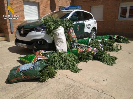 Los agentes accedieron a la vivienda del detenido para incautar las plantas Los agentes accedieron a la vivienda del detenido para incautar las plantas