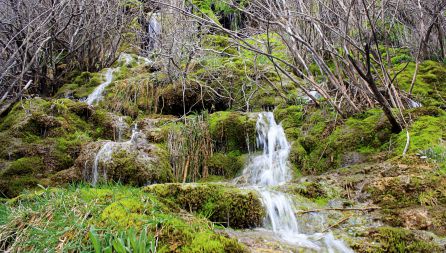 Cascada natural de la Tobilla, en Vega del Codorno (Cuenca). Cascada natural de la Tobilla, en Vega del Codorno (Cuenca).