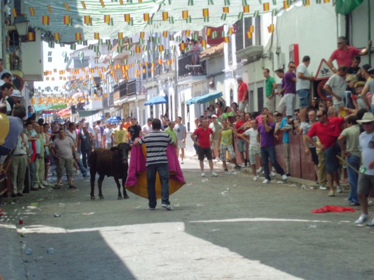 Encierros de El Viso Encierros de El Viso