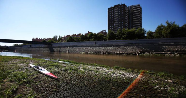 Un remo en la orilla del Río Manzanares Un remo en la orilla del Río Manzanares