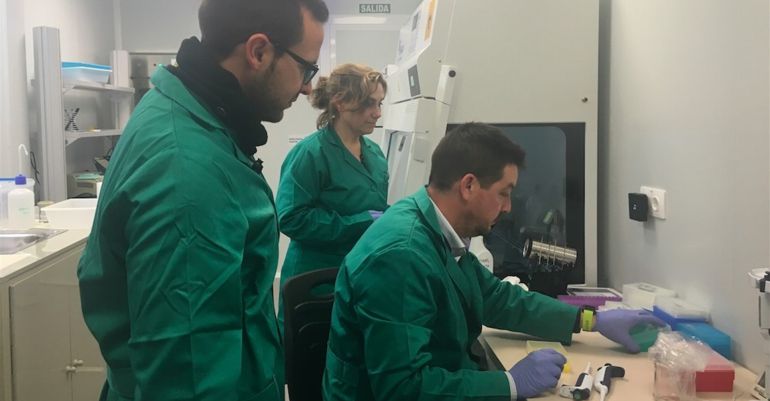 Tres personas realizan un test para comprobar la existencia de la bacteria xylella fastidiosa. Tres personas realizan un test para comprobar la existencia de la bacteria xylella fastidiosa.