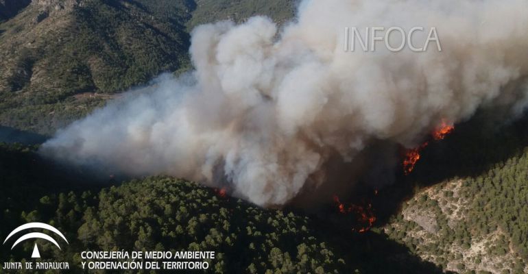 Incendio de Sierra de Segura en el pasado año, 2017. Incendio de Sierra de Segura en el pasado año, 2017.