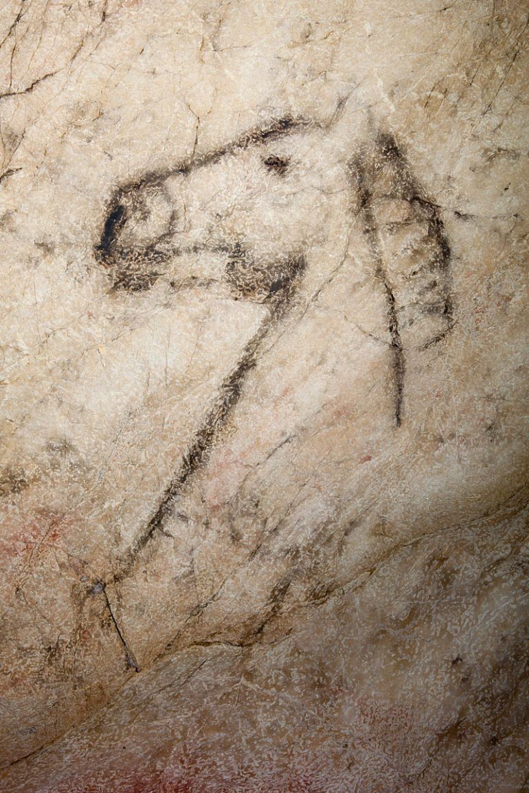 Cueva de Tito Bustillo Cueva de Tito Bustillo