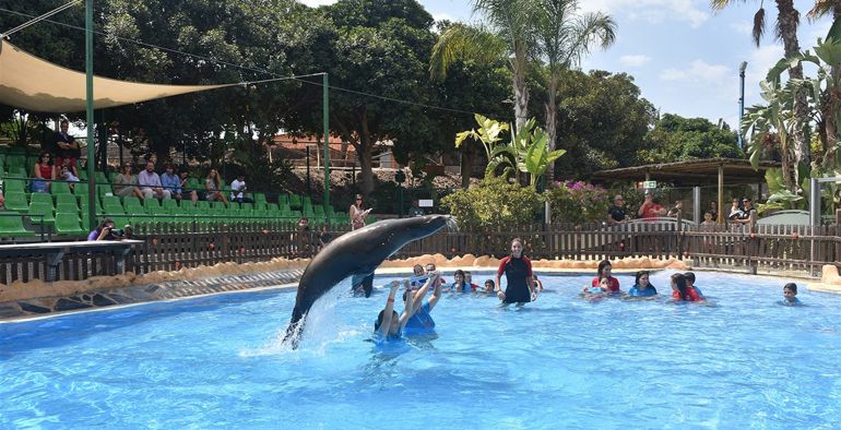 50 niños y jóvenes con discapacidad mejoran su calidad de vida con la zooterapia en Terra Natura 50 niños y jóvenes con discapacidad mejoran su calidad de vida con la zooterapia en Terra Natura