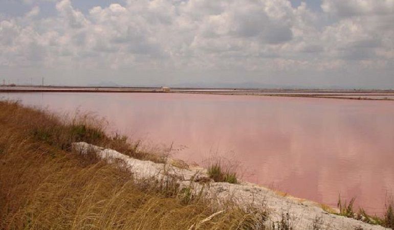 Las salinas de San Pedro del Pinatar Las salinas de San Pedro del Pinatar