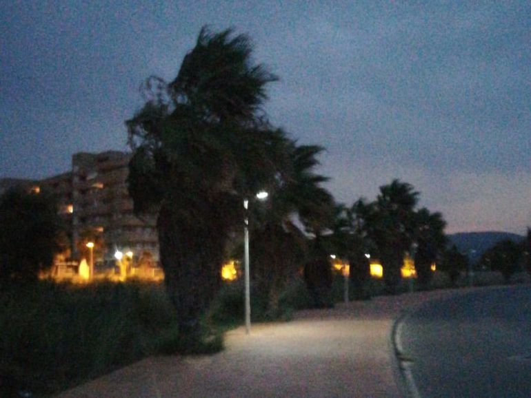 Los vecinos del PAI Torre la Sal de Cabanes compran una farola por la falta de luz que hay en su urbanización Los vecinos del PAI Torre la Sal de Cabanes compran una farola por la falta de luz que hay en su urbanización