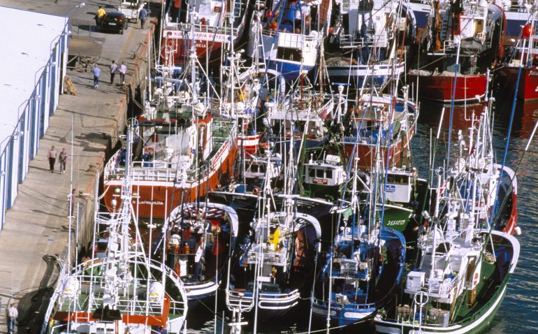 Barcos amarrados en el puerto de Burela Barcos amarrados en el puerto de Burela