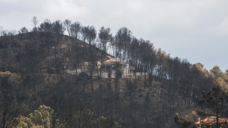 Afectados por el incendio de Llutxent preparan una demanda colectiva