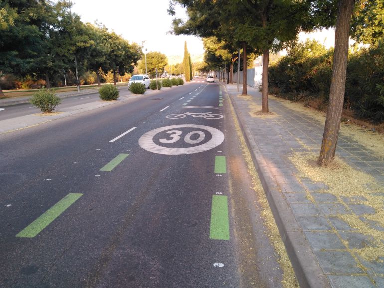 Nuevo ciclocarril o tramo de coexistencia habilitado en la avenida Eduardo Guitián. Nuevo ciclocarril o tramo de coexistencia habilitado en la avenida Eduardo Guitián.