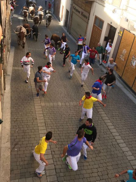 Un corredor recibe un revolcón en el segundo encierro de las fiestas de Cuéllar Un corredor recibe un revolcón en el segundo encierro de las fiestas de Cuéllar