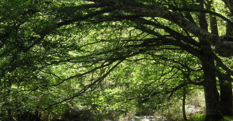 La Red de centros medioambientales de la Comunidad de Madrid ofrece decenas de actividades gratuitas para los fines de semana del mes de septiembre La Red de centros medioambientales de la Comunidad de Madrid ofrece decenas de actividades gratuitas para los fines de semana del mes de septiembre