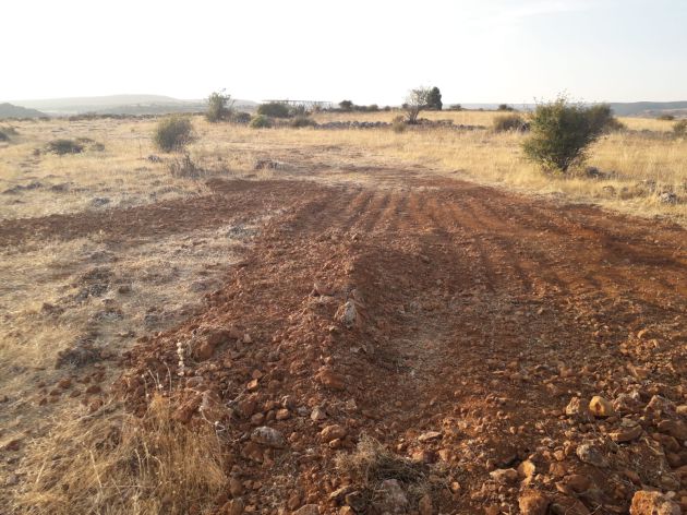 Ecologistas denuncia la instalación de una antena de telefonía en un paraje protegido de Guadalajara: Ecologistas denuncia la instalación de una antena de telefonía en un paraje protegido Ecologistas denuncia la instalación de una antena de telefonía en un paraje protegido de Guadalajara: Ecologistas denuncia la instalación de una antena de telefonía en un paraje protegido