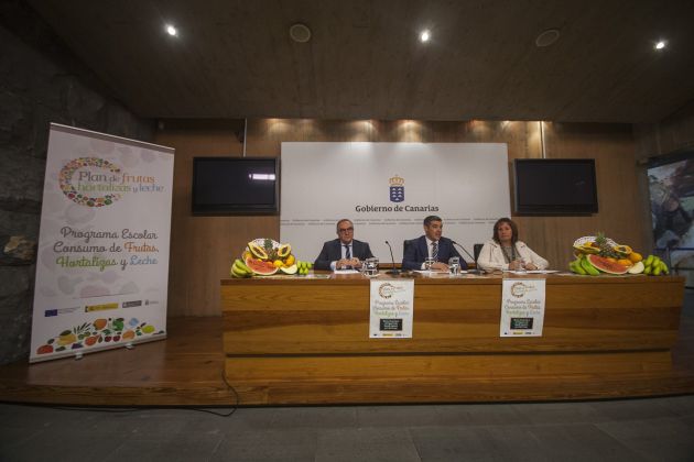 Presentación del plan Presentación del plan
