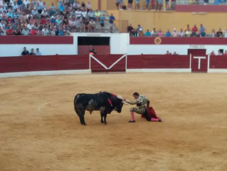 Momento de la faena del El Fandi Momento de la faena del El Fandi