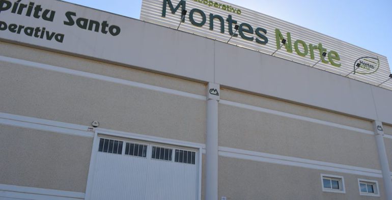 Se confirma la transparencia del Grupo Montes Norte Se confirma la transparencia del Grupo Montes Norte