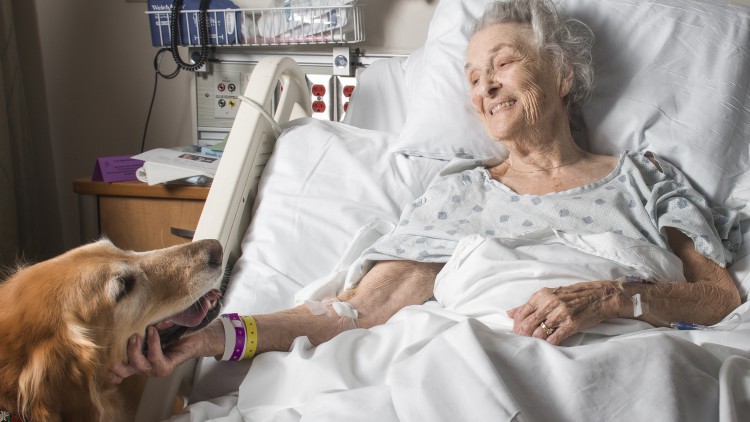 El Hospital del Vinalopó permite a pacientes despedirse de sus animales de compañía