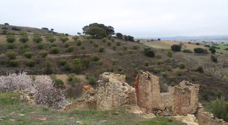 "En el año 1598, en una reunión de las Cortes, se llamó la atención al Gobierno para que se tomasen medidas para incrementar el cultivo y la ganadería". "En el año 1598, en una reunión de las Cortes, se llamó la atención al Gobierno para que se tomasen medidas para incrementar el cultivo y la ganadería".