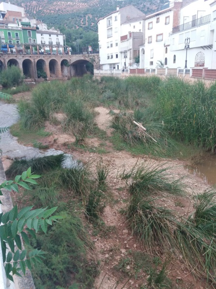 Estado actual del río Guadalimar en el casco urbano Estado actual del río Guadalimar en el casco urbano