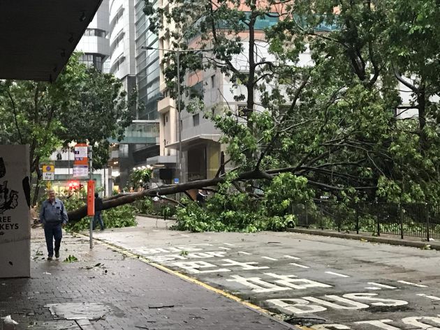 La catástrofe del tifón de Hong Kong recogida por los móviles de los joyeros de Córdoba La catástrofe del tifón de Hong Kong recogida por los móviles de los joyeros de Córdoba