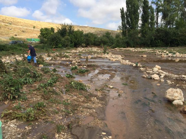 Zona afectada en Fuentelencina. Zona afectada en Fuentelencina.