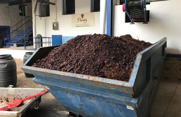 Imagen del contenedor, cargado de uva para desarrollar coñac, en la Bodega de las Estrellas de Valdepeñas Imagen del contenedor, cargado de uva para desarrollar coñac, en la Bodega de las Estrellas de Valdepeñas
